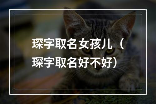 琛字取名女孩儿（琛字取名好不好）