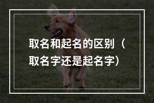 取名和起名的区别（取名字还是起名字）