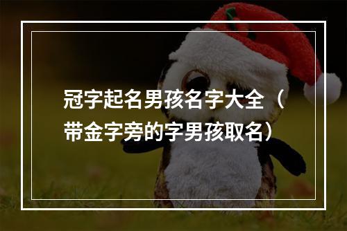 冠字起名男孩名字大全（带金字旁的字男孩取名）
