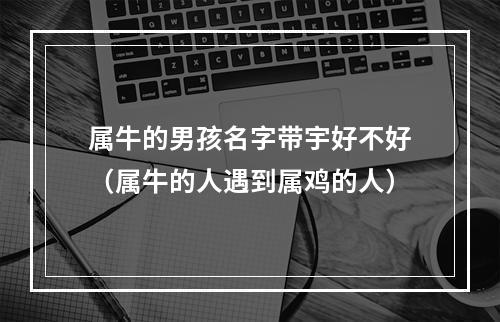 属牛的男孩名字带宇好不好（属牛的人遇到属鸡的人）