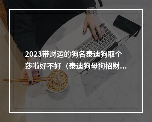 2023带财运的狗名泰迪狗取个莎啦好不好（泰迪狗母狗招财的名字）