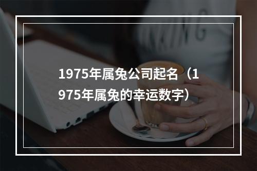 1975年属兔公司起名（1975年属兔的幸运数字）