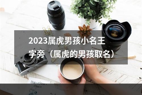 2023属虎男孩小名王字旁（属虎的男孩取名）