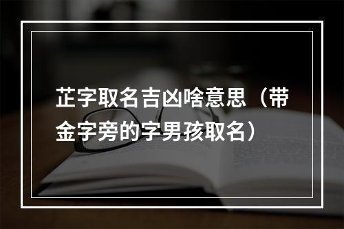 芷字取名吉凶啥意思（带金字旁的字男孩取名）