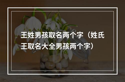 王姓男孩取名两个字（姓氏王取名大全男孩两个字）