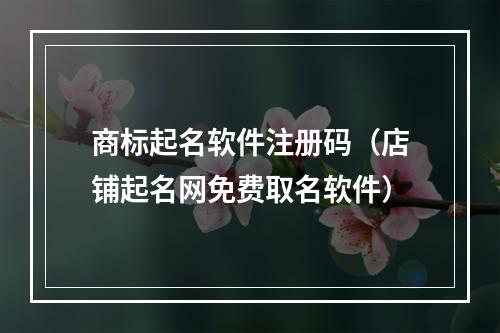 商标起名软件注册码（店铺起名网免费取名软件）