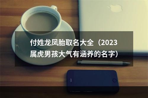 付姓龙凤胎取名大全（2023属虎男孩大气有涵养的名字）