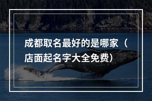 成都取名最好的是哪家（店面起名字大全免费）