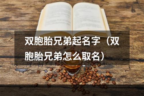双胞胎兄弟起名字（双胞胎兄弟怎么取名）