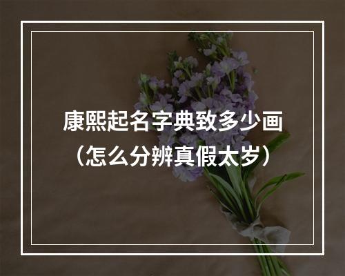康熙起名字典致多少画（怎么分辨真假太岁）