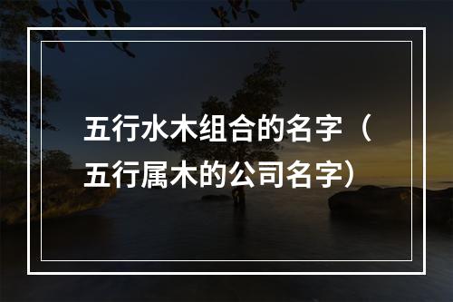 五行水木组合的名字（五行属木的公司名字）