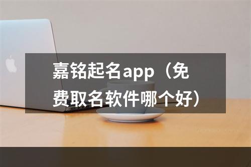 嘉铭起名app（免费取名软件哪个好）