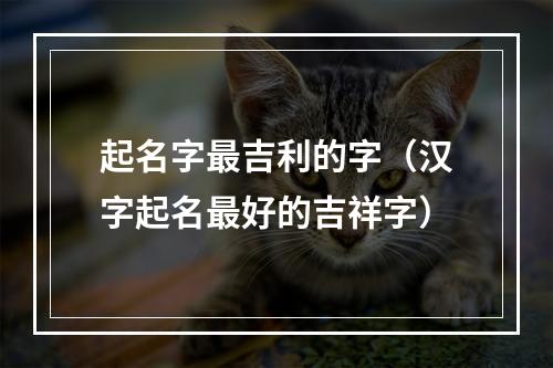 起名字最吉利的字（汉字起名最好的吉祥字）