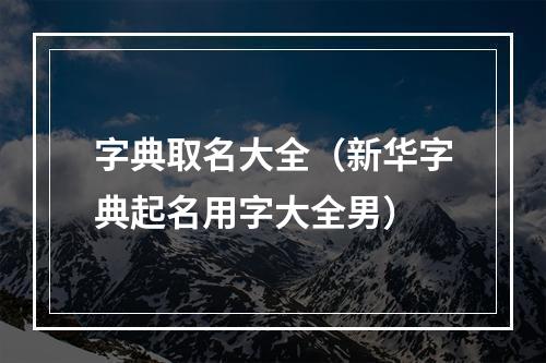 字典取名大全（新华字典起名用字大全男）