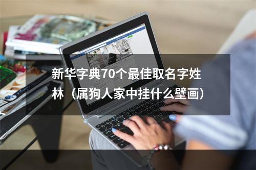 新华字典70个最佳取名字姓林（属狗人家中挂什么壁画）