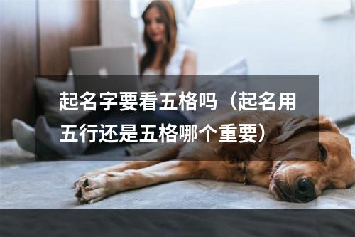 起名字要看五格吗（起名用五行还是五格哪个重要）