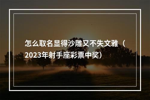 怎么取名显得沙雕又不失文雅（2023年射手座彩票中奖）