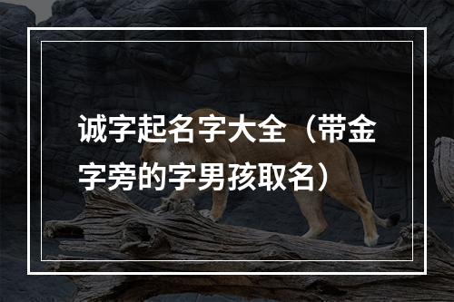 诚字起名字大全（带金字旁的字男孩取名）