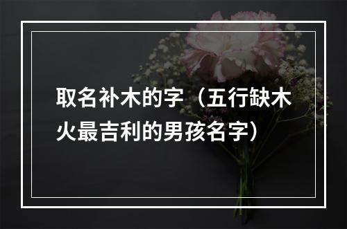 取名补木的字（五行缺木火最吉利的男孩名字）