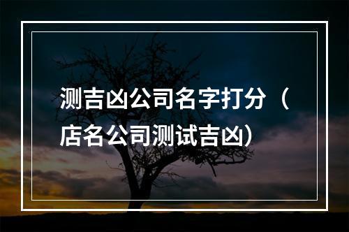 测吉凶公司名字打分（店名公司测试吉凶）