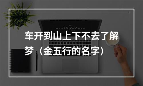 车开到山上下不去了解梦（金五行的名字）