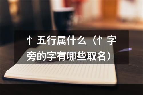 忄五行属什么（忄字旁的字有哪些取名）
