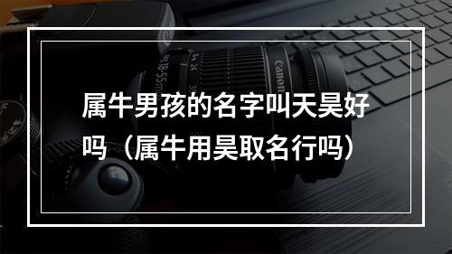 属牛男孩的名字叫天昊好吗（属牛用昊取名行吗）