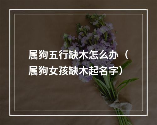 属狗五行缺木怎么办（属狗女孩缺木起名字）