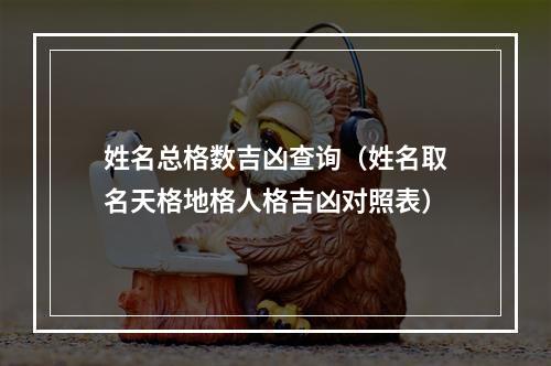姓名总格数吉凶查询（姓名取名天格地格人格吉凶对照表）