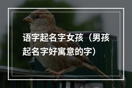 语字起名字女孩（男孩起名字好寓意的字）
