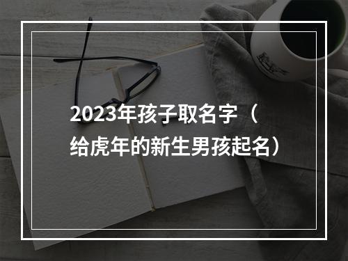 2023年孩子取名字（给虎年的新生男孩起名）