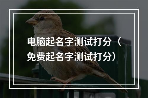 电脑起名字测试打分（免费起名字测试打分）