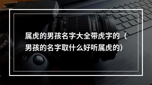 属虎的男孩名字大全带虎字的（男孩的名字取什么好听属虎的）