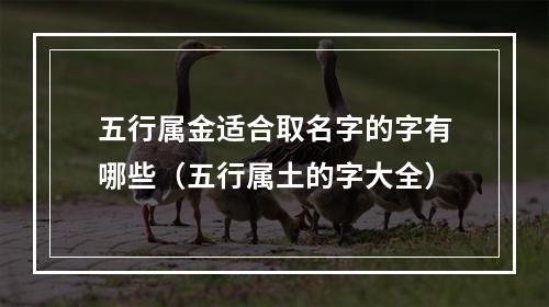 五行属金适合取名字的字有哪些（五行属土的字大全）
