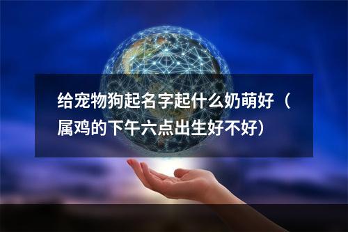 给宠物狗起名字起什么奶萌好（属鸡的下午六点出生好不好）
