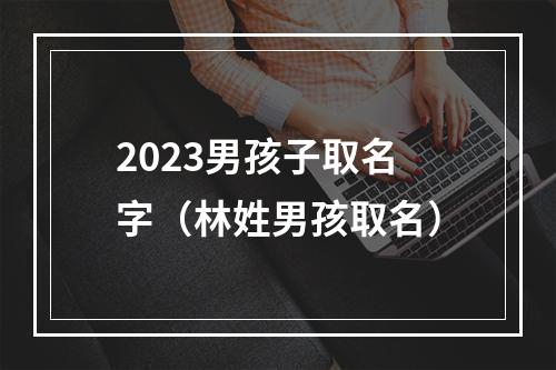 2023男孩子取名字（林姓男孩取名）