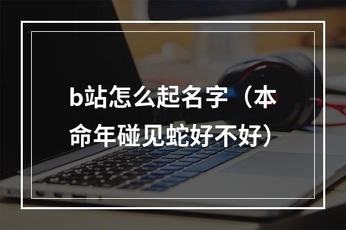 b站怎么起名字（本命年碰见蛇好不好）