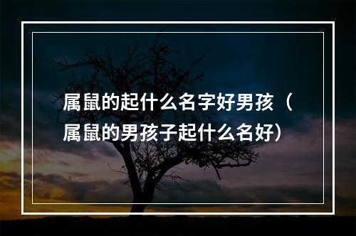 属鼠的起什么名字好男孩（属鼠的男孩子起什么名好）