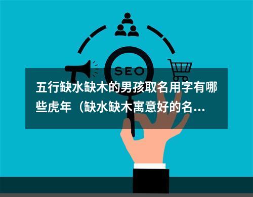 五行缺水缺木的男孩取名用字有哪些虎年（缺水缺木寓意好的名字）