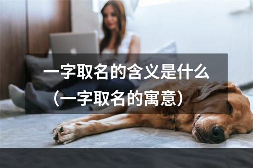 一字取名的含义是什么（一字取名的寓意）