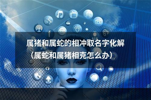 属猪和属蛇的相冲取名字化解（属蛇和属猪相克怎么办）