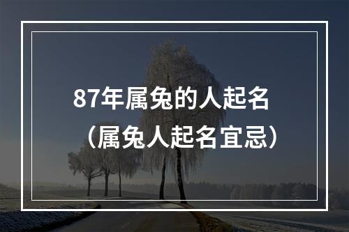 87年属兔的人起名（属兔人起名宜忌）