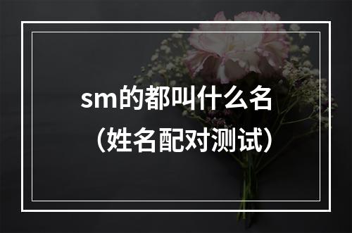 sm的都叫什么名（姓名配对测试）