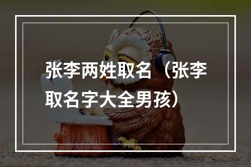 张李两姓取名（张李取名字大全男孩）