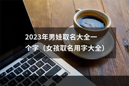 2023年男娃取名大全一个字（女孩取名用字大全）