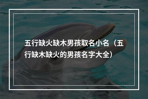 五行缺火缺木男孩取名小名（五行缺木缺火的男孩名字大全）