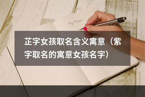 芷字女孩取名含义寓意（紫字取名的寓意女孩名字）