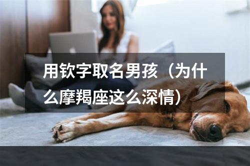 用钦字取名男孩（为什么摩羯座这么深情）