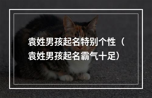 袁姓男孩起名特别个性（袁姓男孩起名霸气十足）
