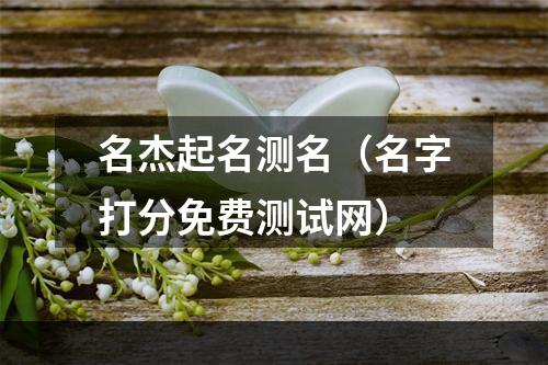 名杰起名测名（名字打分免费测试网）